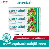 ราคา Kolbadent ยาสีฟันสมุนไพรสกัดบริสุทธิ์ คอลบาเด้นท์ 100 กรัม แพค 6 กล่อง (3350131913)