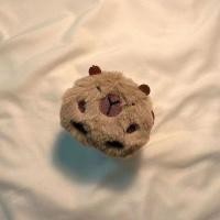 ราคา เคสหูฟังบลูทูธไร้สาย ผ้ากํามะหยี่ขนนิ่ม ลาย Capybara Lenovo HT38 XT88 Lenovo LP40 xt95pro (25959658234)