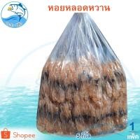ราคา หอยหลอดหวาน 5กิโล 1แพ็ค หอยหวาน หอยหลอด หอยหลอดแห้ง หอยหลอดตากแห้ง หอยแดดเดียว อาหารทะเล ของฝาก (17602322573)