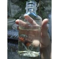 ราคา ขวดพลาสติกเลี้ยงปลากัดขนาด 220cc(ชุด10ขวด) (7375147447)