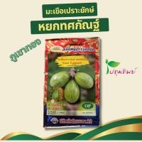 ราคา เมล็ดพันธุ์มะเขือเปราะยักษ์ หยกทศกัณฐ์ น้ำหนักสุทธิ 2 กรัม ตราภูเขาทอง (42415255584)