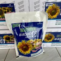 ราคา เมล็ดพันธุ์ทานตะวันสำหรับปลูก แปซิฟิก น้ำหนัก 1 กิโลกรัม พันธุ์ดอกใหญ่ ทนแล้ง สีสด น้ำหนักดี (27862350453)