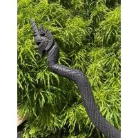 ราคา Gold ไม้เท้า ไม้ตะพด พญางิ้วดำ หัวพญานาค คอโค้ง ยาวประมาณ 100-115 ซม. (24777238583)