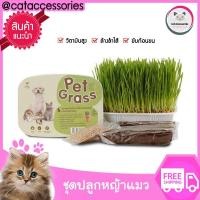 ราคา Cat Accessories ชุดปลูกหญ้าแมวจากเมล็ดข้าวสาลี ยี่ห้อ pet grass สะอาดปลอดภัยไม่มีสารพิษ (2351388143)