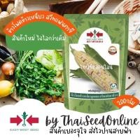 ราคา EWCOM 200กรัม ใหม่เมล็ดพันธุ์ข้าวโพดข้าวเหนียวหวาน สวีทแฟนตาซี 200 กรัม ตราศรแดง (16272527636)