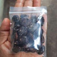 ราคา ชุดเพาะเมล็ด/เฉพาะเมล็ด มะขามบอนไซ เมล็ดมะขามเปรี้ยว ต้นเตี้ย ฝักใหญ่ 30 เมล็ด (13001411654)