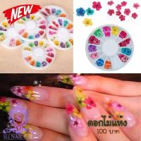 ราคา ดอกไม้แห้งตกแต่งเล็บ อะไหล่ตกแต่งเล็บ ดอกไม้แห้งติดเล็บ (6907362775)