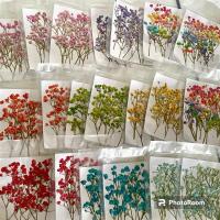 ราคา ยิปโซทับ ดอกยิปโซกดทับ ดอกไม้แห้ง สำหรับงานฝีมือ (8174394839)