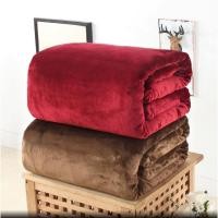 ราคา ผ้าห่มนาโน6ฟุต หนานุ่มเย็บขอบ (2287156956)