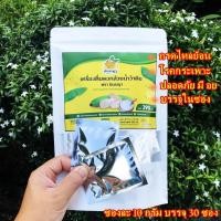 ราคา ผงกล้วยน้ำว้าดิบ ผงกล้วยดิบ ผงกล้วยน้ำว้าดิบ 100% มี อย (บรรจุ 30 ซอง) (41723826860)