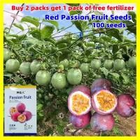 ราคา 100เมล็ด เมล็ดพันธุ์เสาวรส สีแดง Red Passion Fruit Seeds เมล็ดพันธุ์ เสาวรส เมล็ดพันธุ์ เสาวรสหวาน ต้นไม้ผลกินได้ Plants (28780249303)