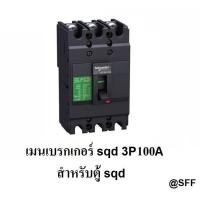 ราคา SQUARE D SCHNEIDER เมนเบรกเกอร์ เบรกเกอร์ 3P 100A รุ่น EZC100F3100 (2167266284)