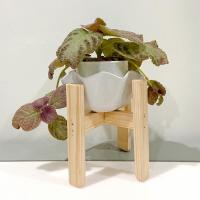 ราคา ขาตั้งกระถางต้นไม้ ขาไม้ตั้งกระถางต้นไม้ ถาดรองกระถางต้นไม้ (6548622559)