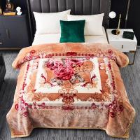 ราคา พร้อมส่งถูกที่สุด ผ้าห่มขนมิ้งหนา2 ชั้น ขนาด 5 ฟุต (11265449908)