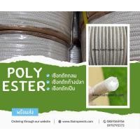 ราคา เชือกโพลีเอสเตอร์ Polyester ขนาด 12 มิล เชือกถักลายก้างปลา ถักเปียสีขาว ใช้งานค่ายลูกเสือ เส้นใยอ่อนนุ่ม บิดงอได้ (23619882705)