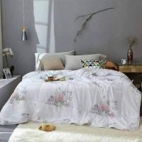 ราคา ผ้าห่มใยไหม ผ้านวมขนเป็ด ขนาด 7 ฟุต ผืนใหญ่ 220x230cm พร้อมกระเป๋า (9112528023)