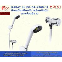 ราคา Karat EC-04-476B-11 ก๊อกเดี่ยวติดผนัง พร้อมฝักบัวสายอ่อนสีขาว (40865312368)