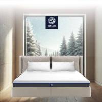 ราคา SB Design Square Mercury Mattress ที่นอนยางพาราอัดแท้ รุ่น Tirana ความหนา 4 นิ้ว ขนาด 3.5 ฟุต (28472726127)