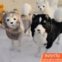 ราคา พร้อมส่งจากไทย ตุ๊กตาหมา ไซบีเรียนฮัสกี้ งานเหมือนจริง (29723488762)