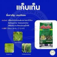 ราคา แค็บเท็น(แมนโคเซบสีเขียว) เนื้ออินเดีย ป้องกันเชื้อรา โรคเมล็ดด่าง ใบไหม้ กุ้งแห้ง และเหมาะกับการเคลือบหอม เขียวเนียน (27235517984)