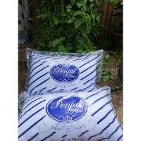 ราคา หมอนหนุนใยขนห่านเทียม แพคคู่2ใบ ขนาด18*26.5 (20141151008)