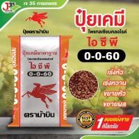 ราคา ปุ๋ยเคมี 0-0-60 ปุ๋ยหวาน ปุ๋ยลงหัว ปุ๋ยสร้างหัว ปุ๋ยขยายลูกขยายหัว (20582742018)