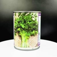 ราคา เมล็ดคื่นฉ่าย พันธุ์เข่งฉ่าย ตราลูกโลก (บรรจุ65 กรัม) (27783133625)