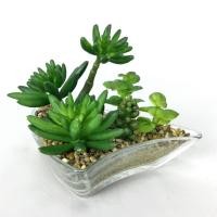 ราคา สวนถาดต้นไม้ แคคตัสปลอมพร้อมถาดแก้ว กระถางแคคตัสปลอม (18171165104)