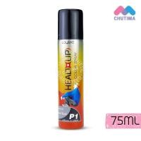 ราคา สเปรย์ปิดผมขาว สเปรย์ฉีดผม สีดำ โลแลน เฮด อัพ คัลเลอร์ สเปรย์ 75 มล. Lolane Head up Color Spray 75 ml. (2703957339)