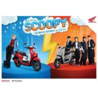 ราคา HONDA SCOOPY I CLUB 12 (24012926854)