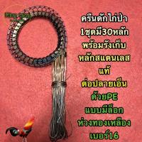 ราคา ครืนดักไก่ป่า ครืนดักนกอีลุ้ม (1ชุดมี30หลัก) หลักสแตนเลสแท้100% ต่อปลายด้วยสายPE แบบมีล็อก เอ็นใช้เอ็นมาเลเบอร์90 (15620704559)