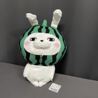 ราคา ตุ๊กตากระต่ายโยชิหัวแตงโม ตุ๊กตากระต่ายโยชิ ตุ๊กตามือสอง (3395590962)