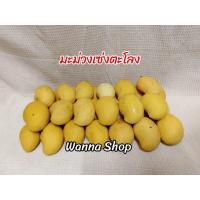 ราคา มะม่วงเซ่งตะโลง กก.ละ 100 บาท (21714740630)