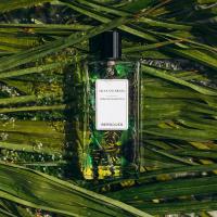 ราคา Berdoues Perfume (แบร์ดูส์ เพอร์ฟูม) - Grand Crus SELVA DO BRAZIL (100ml) (13828839521)