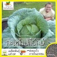 ราคา ผลิตภัณฑ์ใหม่ เมล็ดพันธุ์ เมล็ดพันธุ์ กะหล่ำปลียักษ์ 300 เมล็ด Giant Russian Cabbage Seed เมล็ดพันธุ์แท้100% นำเข้/เ LLU (23106073879)