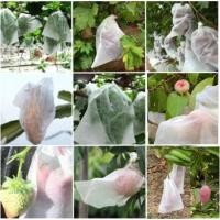 ราคา ถุงห่อมะม่วง ถุง ห่อ ผลไม้ แบบ หูรูด กระดาษห่อมะม่วง ถุงห่อฝรั่ง ถุงผ้าไม่ทอ ราคาถูก (40222592977)