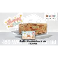 ราคา กลิ่นใหม่ New Kuma Blooming fresh กลิ่นบลูมมิ่ง เฟรช (26301422776)