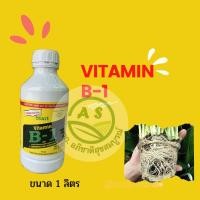 ราคา น้ำยาเร่งราก บี1 ฮอร์โมนเร่งราก ของแท้ สารอาหารวิตามินบี 1 (22020714243)