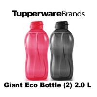 ราคา Tupperware ขวดยักษ์ Eco (2) 2.0 ลิตร (20589061099)