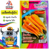 ราคา ม้ารุ้ง ผักซอง ม้ารุ้ง Z180#เบบี้แครอท พันธุ์นิวเจ็น เมล็ดพันธุ์ แครอท เมล็ดพันธุ์ผัก เมล็ดผัก ผักสวนครัว ตราม้ารุ้ง (42073181357)