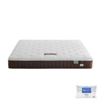 ราคา SB Design Square ที่นอน LOTUS รุ่น MATILDA 100 ขนาด 3.5ฟุต แถมฟรีหมอนหนุน 1 ใบ (22886457775)