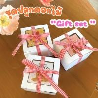 ราคา ୨୧ชุดปลูกดอกไม้ "gift set" กล่องสีขาว ของขวัญปัจฉิม ของขวัญรับปริญา ของชำร่วย ของขวัญ จัดทำ 1-2 วัน୨ৎ (29624385482)