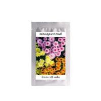 ราคา COD เมล็ดพันธุ์ ดอกไม้ ดอกเบญจมาศ คละสี ขาว ชมพู ม่วง เหลือง จำนวน 50 เมล็ด 19 บาท เมล็ดพันธุ์ คุณภาพดี จัดส่งรวดเร็ว (10440468255)