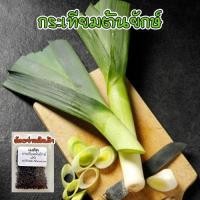 ราคา กระเทียมต้นยักษ์ 40-100 เมล็ด (Leek) กระเทียมต้นฝรั่ง เมล็ดกระเทียมต้น เมล็ดพันธุ์ [ซื้อ 10 แถม 1 คละได้] (21995766333)