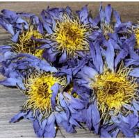 ราคา ชาบัว ดอกบัวสีม่วงอบแห้ง Foodgrade 1ซอง (10ดอก) 003757 (29086722463)