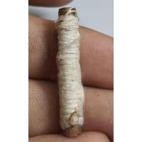 ราคา เครื่องรางตะกรุดไม่ทราบเกจิที่จัดสร้าง (26774623004)