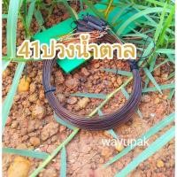 ราคา ครืนดักนกกวักบ่วงดักนกกวัก (17389672566)