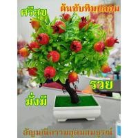 ราคา ทับทิม ต้นทับทิม (ต้นทับทิมปลอม ต้นไทรใหญ่+ถาง 169 ต้นไม้มงคล ทับทิม เสริมฮวงจุ้ย ต้นไม้มงคล อัญมณีแห่งความอุดมสมบูรณ์ (28351432931)