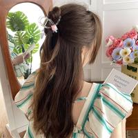 ราคา ที่หนีบผม ที่หนีบผมสไตส์เกาหลี ที่หนีบผมรูปดอกไม้ ที่หนีบผมรูปดอกทิวลิป 2023 (23945984325)