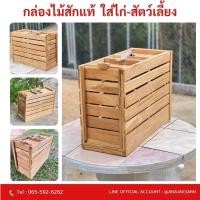 ราคา กล่องใส่ไก่ชน ใส่สัตว์เลี้ยง ไม้สักแท้ (29458078317)